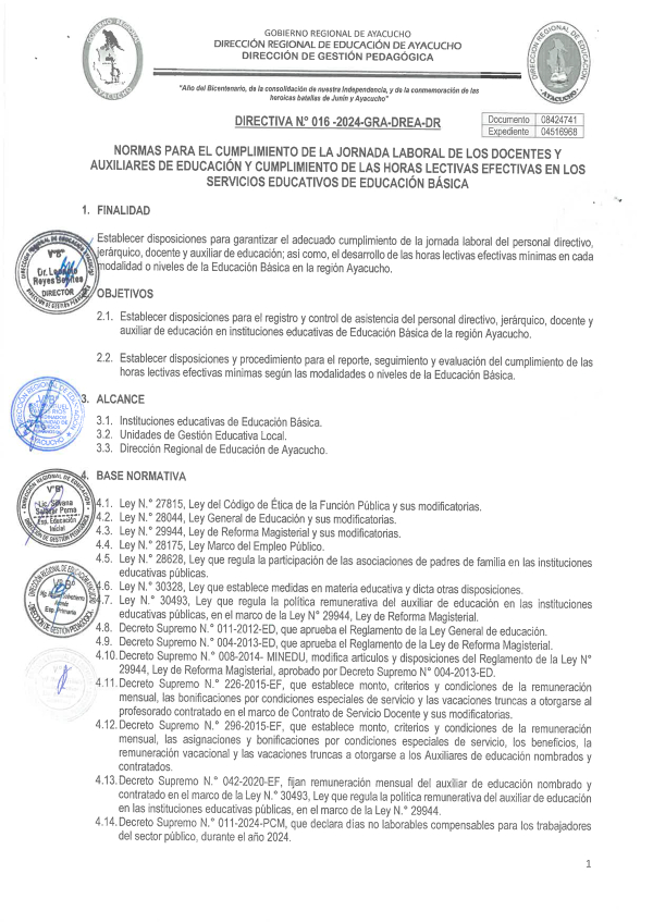 DIRECTIVA Nº 016-2024-GRA-DREA-DR